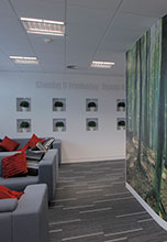 Office fit-out, Cambridge Business Park